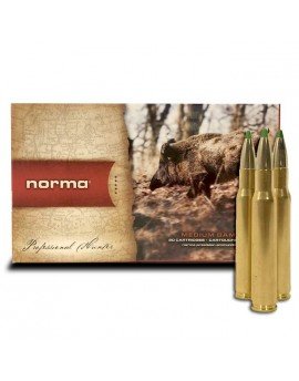 Norma 30-06