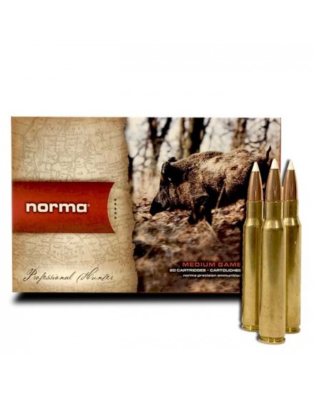 Norma 300 WM