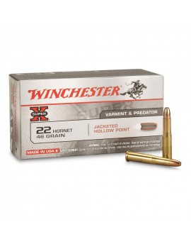 Winchester Hornet