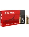 Geco 243 Win