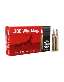 Geco 300 Win Mag. TM 170gr 04/06/25