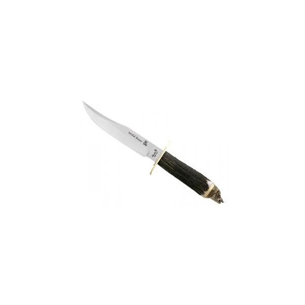 MUELA WILDBOAR CERF 16 CM INOX+COFFRET