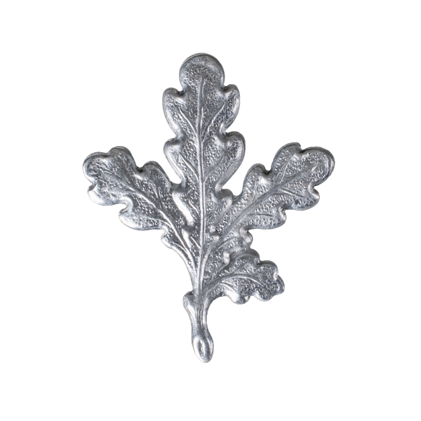 FEUILLE DE PRESENTATION DEFENSE DE SANGLIER