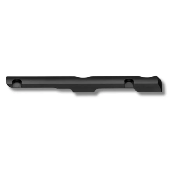 RAIL MAUSER M25 BLASER