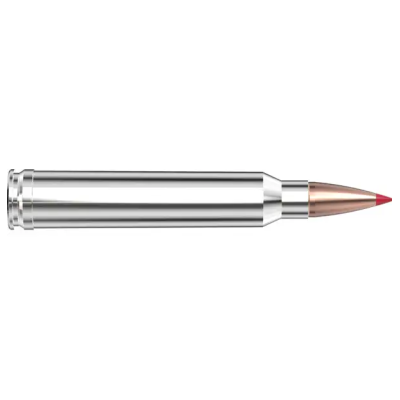 HORNADY .300 Win. Mag. 180gr CX Outfitter