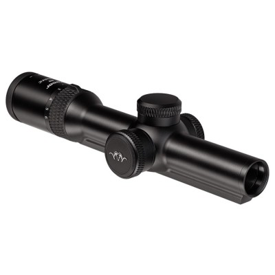 Blaser B2 1-6x24 iC S + Flip Cover