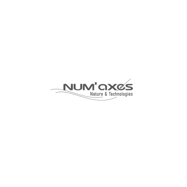 NUM'AXES