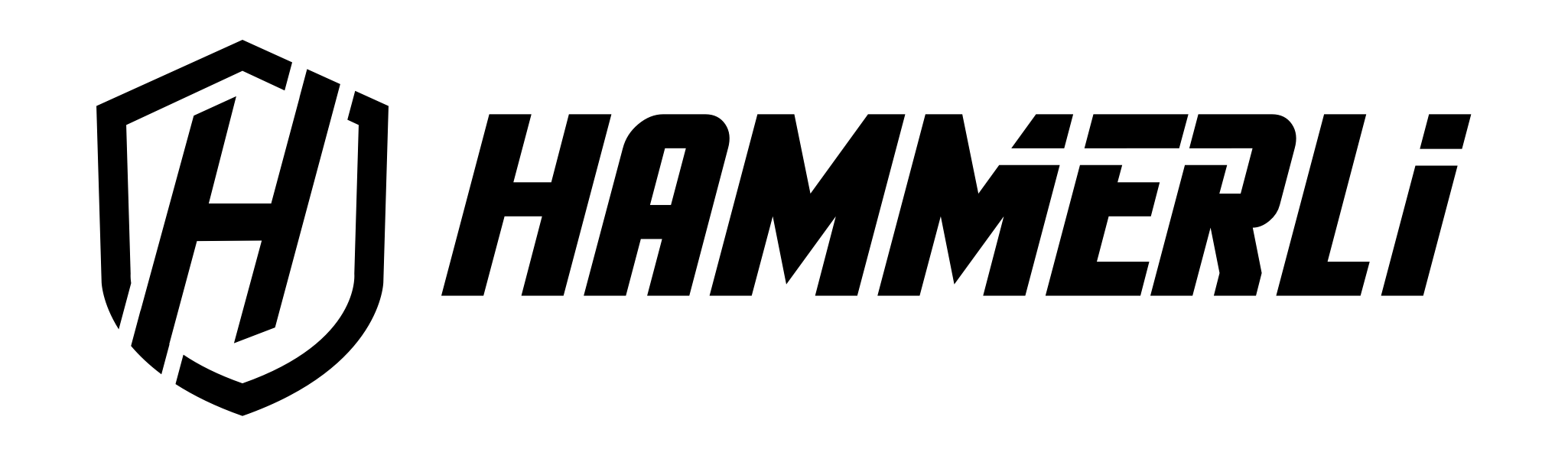 HAMMERLI